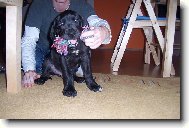 To mm pknou hraku co??